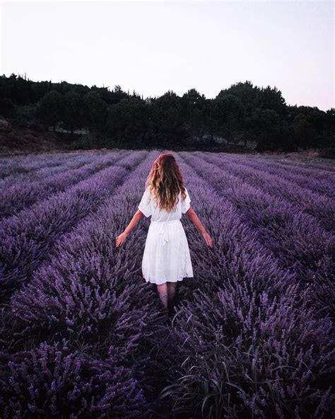 Anadolualbum on Twitter | Lavender fields photography, Lavender fields ...