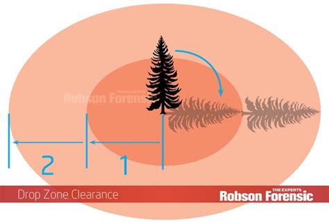 Tree Felling: Tree Removal Mishaps