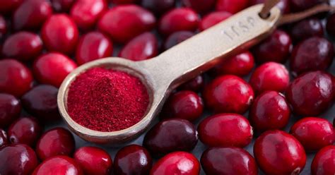 Cranberry Powder Recipe | Recipe in 2021 | Cranberry powder, Dehydrator recipes, Recipes