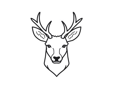 Easy Mule Deer Coloring Page - Coloring Page