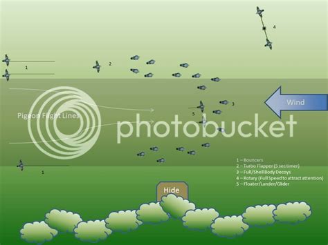 Decoy Pattern - Pigeon Shooting Tips - Pigeon Watch Forums