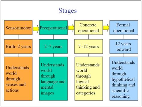 Piaget's Cognitive Development Stages | Development Theories ...