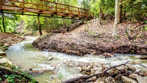 Houston Arboretum & Nature Center unveils new ravine trail - ABC13 Houston