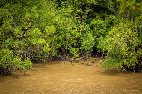 Things & Places in Essequibo