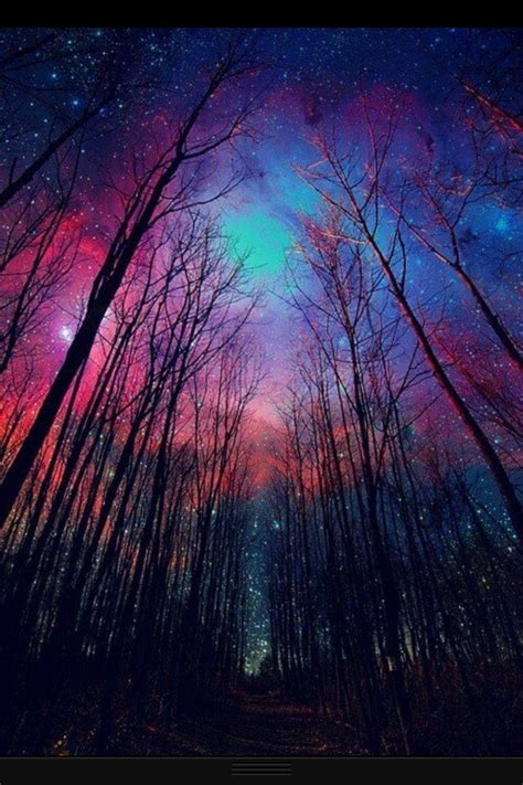 Mystical night | Scenery, Nature, Nature photography