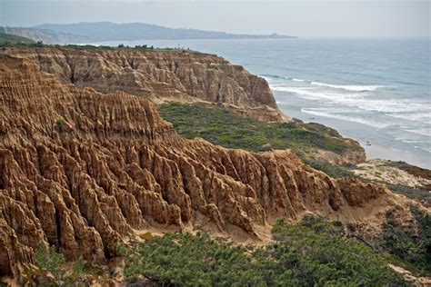 Torrey Pines State Park — Naomi VanDoren