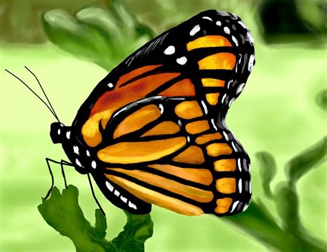 Monarch Butterfly painting by Eric McCrary at Coroflot.com