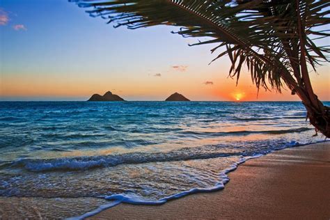 15 Best Beaches in Oahu - The Crazy Tourist