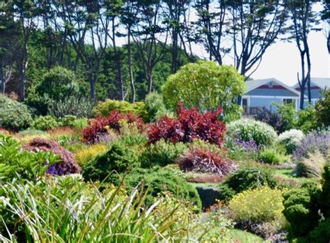 Mendocino Coast Botanical Gardens - Deb's Garden - Deb's Garden Blog