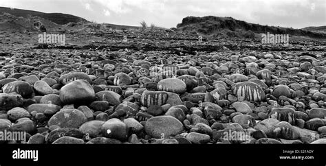 Bishop’s Quarter Beach - Pebbles Stock Photo - Alamy