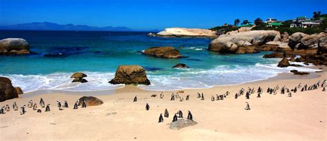 The best Beaches in the Western Cape - Sleeping-OUT News and EventsSleeping-OUT News and Events