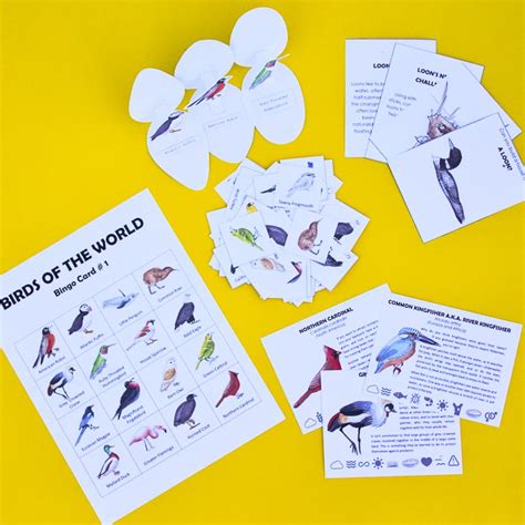 50 Printable Bird Flashcards with Fun Facts