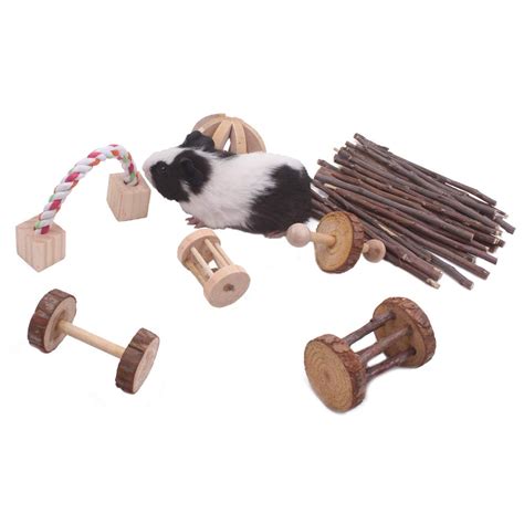 Guinea Pig Chew toys Amazon | AdinaPorter