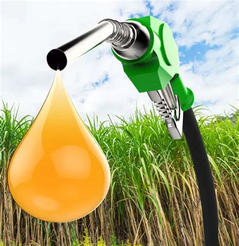 Bioethanol Fuel: A Sustainable Approach for a Cleaner Environment - Buyofuel