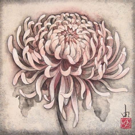 Image result for kiku flower | Japanese flowers, Japanese tattoo designs, Japanese tattoo