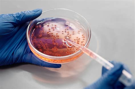 How Does DNA Fingerprinting Help In Solving Crimes?