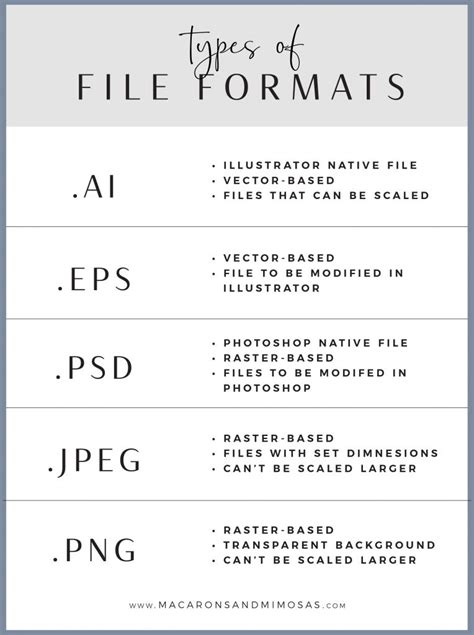 Different File Formats & File Extenstions - Macarons & Mimosas