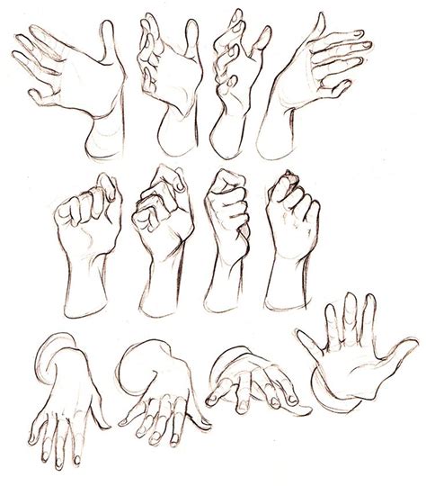 Hand Sketches | Referência mão, Como desenhar mãos, Referência de mão