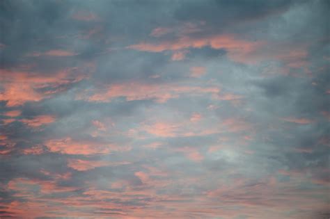 Free Image of Delicate pink sunset | Freebie.Photography