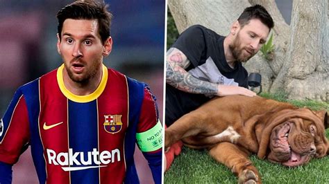 Lionel Messi's dog: What breed it is, name and pictures | Goal.com