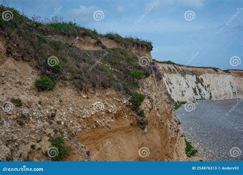 Freshwater Bay, Isle of Wight, Hampshire Stock Image - Image of people ...