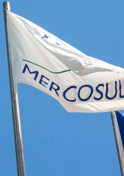 MERCOSUR and its Partners. What to expect from the wider Atlantic? A ...