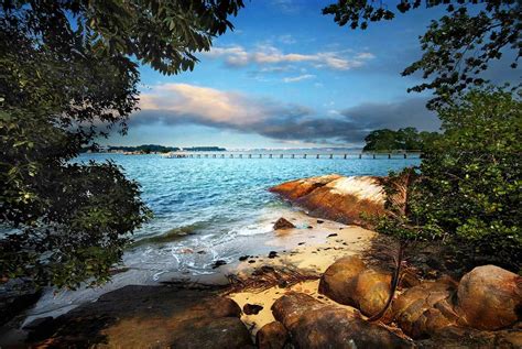 Chek Jawa, Pulau Ubin Singapore - Boardwalk, Guided Tour