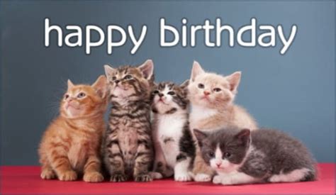 Free Birthday Kittens eCard - eMail Free Personalized Birthday Cards Online