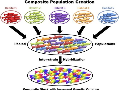 Extensive genetic diversity and substructuring among zebrafish strains ...