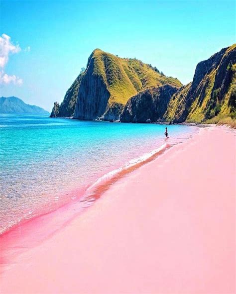 Pink beaches in 2020 | Cool places to visit, Pink beach, Komodo island