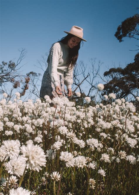 Exploring WA's Wildflower Country: A Road Trip to Coalseam