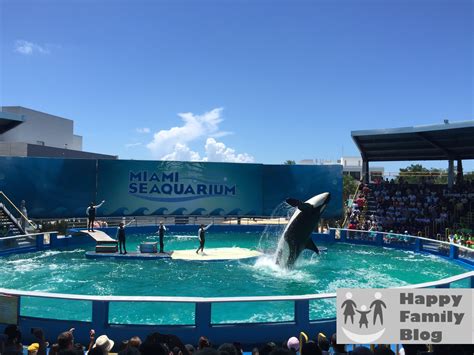 Miami Seaquarium® • Happy Family Blog