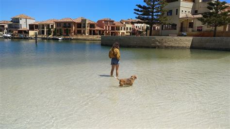 Pet-friendly Accommodation And Experiences | Visit Mandurah