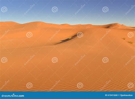 Sahara Desert Dunes Morocco Stock Photo - Image of heat, scenery: 61041668