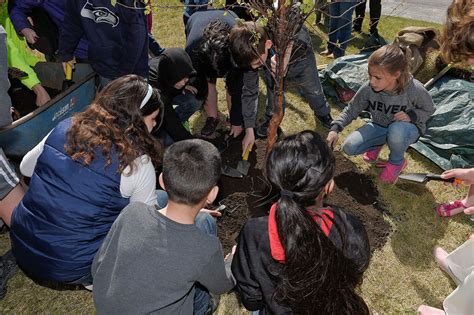 JBER students plant a tree for Arbor Day > Joint Base Elmendorf-Richardson > News