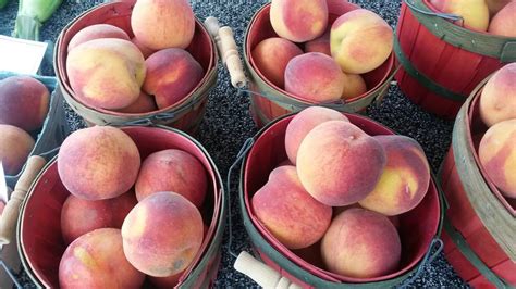 Fresh Missouri Freestone Peaches - Stoplight Market