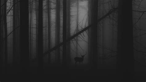 Black Fog Wallpapers - Top Free Black Fog Backgrounds - WallpaperAccess