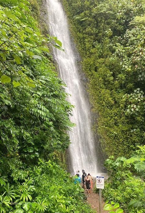 Hiking to 150 ft Cascading Manoa Falls