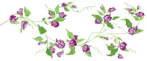 Purple Floral Decor PNG Transparent Clipart | Purple floral decor, Flowering vines, Flower ...