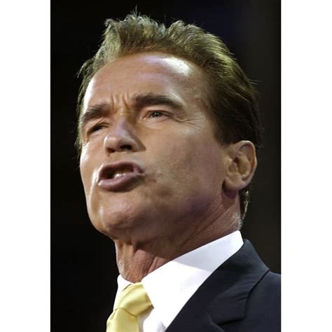 Arnold Schwarzenegger giving a speech at the Republican National ...