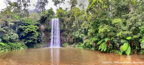 Cairns Waterfall Circuit: self-drive itinerary with a map to view ...