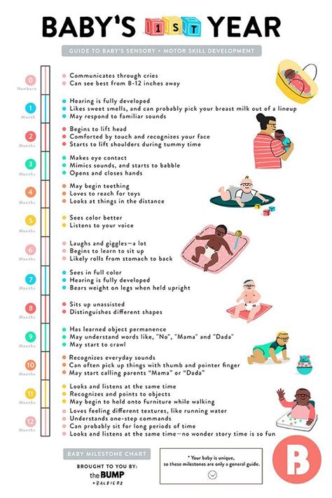 Baby Developmental Milestones and Chart | Baby advice, Baby information, Baby milestones