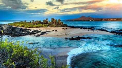 (Italiano) Parco Nazionale delle Galapagos: paesaggio, storia, flora, fauna ...