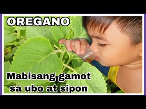 Effective Na Gamot Para Sa Ubo At Sipon