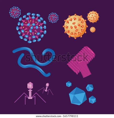 Different Virus Types Vector Illustration Ready Stock Vector (Royalty ...