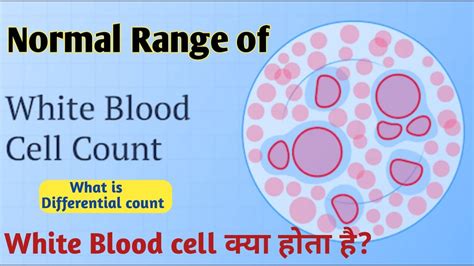 wbc normal range II white blood cells normal range - YouTube