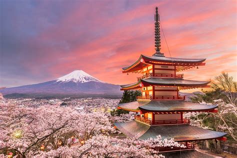 A Handy Guide To Viewing Cherry Blossoms In Japan 2023 — Travel Japan ...