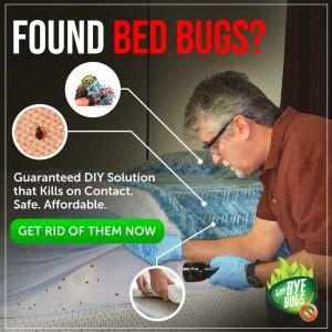 How to Choose a Bed Bug Exterminator - Bed Bug Guide