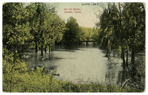 [Photograph of the Bayou] - Side 1 of 1 - The Portal to Texas History