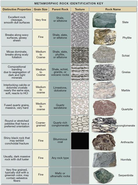 Place each of the metamorphic rocks supplied by your in... | Chegg.com ...